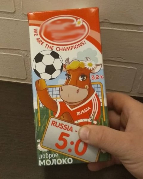 В Воронеже обнаружили корову, предсказавшую победу России со счетом 5:0
